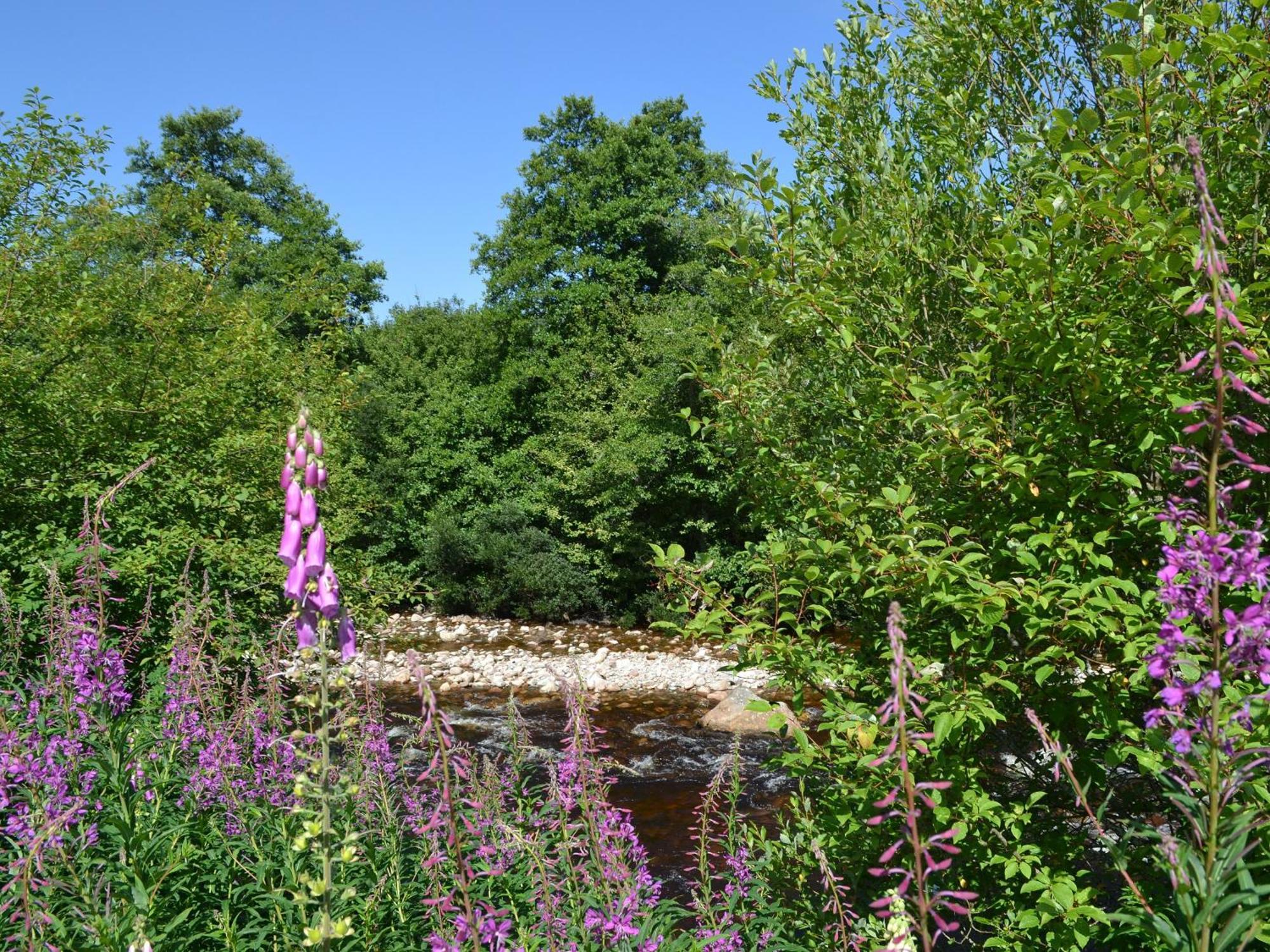 Battanropie Lodge Carrbridge Exteriör bild